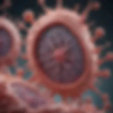 Magnificent Understanding the Mechanisms of BRCA1 in Cancer Development Magnificent Understanding the Mechanisms of BRCA1 in Cancer Development