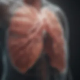 Visual representation of the ABCD COPD assessment framework