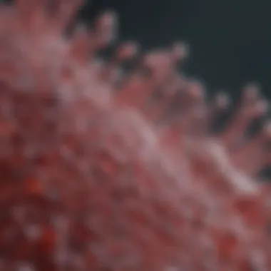AAV replication cycle in HEK293 cells