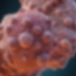 Microscopic view of lung adenoma carcinoma cells