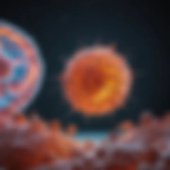 Key clinical trials in RCC immunotherapy