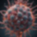Mechanisms of action in immunotherapy for RCC