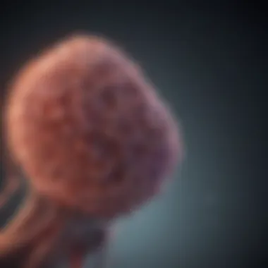 Graph showcasing treatment options available for small cell lung cancer