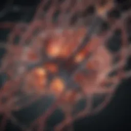 Illustration of experimental autoimmune encephalomyelitis pathway
