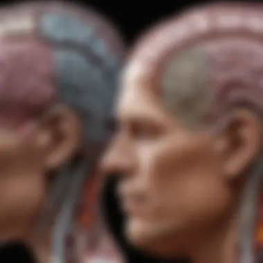 Comparison of MRI Findings in Anoxic Brain Injury Comparison of MRI findings in anoxic brain injury cases