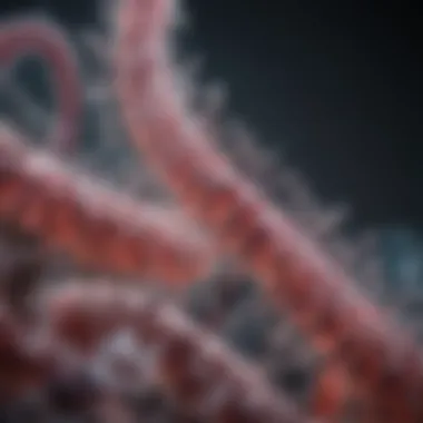 Exploring Advanced Techniques in Bacterial RNA Sequencing Bacterial RNA Sequencing Techniques