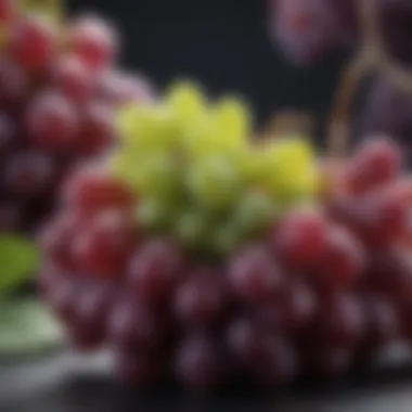 Bioavailability of Grape Compounds An infographic demonstrating the bioavailability of grape compounds and their absorption in the body.