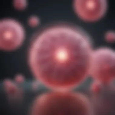 Different types of biologics used in breast cancer therapy