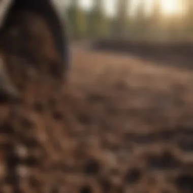 Regulations in Soil Bioremediation Regulatory framework governing soil bioremediation practices