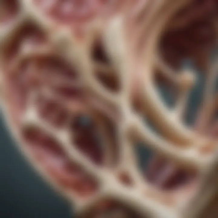 Detailed illustration of bone structure affected by cancer