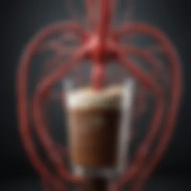 A scientific diagram illustrating the effects of caffeine on the cardiovascular system.