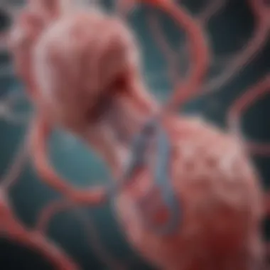 Diagram explaining the biochemical processes contributing to aortic calcification