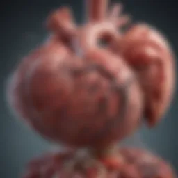 Illustration representing cardiac tumors and their classification