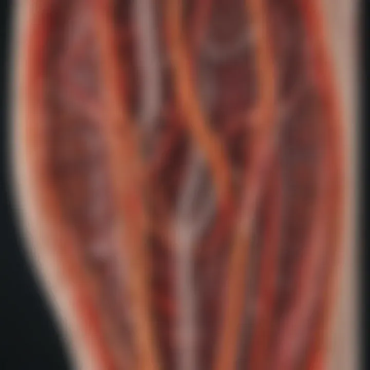 Comparison of normal and abnormal carotid artery imaging results