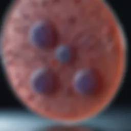 CD11c and N418: An Insight into Their Roles in Immunology Introduction