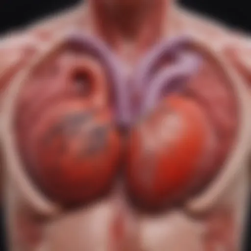 Illustration depicting the structure of a healthy heart compared to a heart with disease