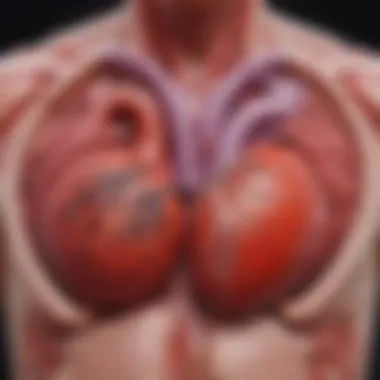 Healthy Heart vs Diseased Heart Illustration depicting the structure of a healthy heart compared to a heart with disease