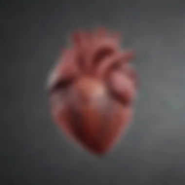 Types of Heart Diseases Infographic explaining the different types of heart diseases