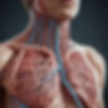 Bronchial Infection Overview Illustration of bronchial tubes affected by infection
