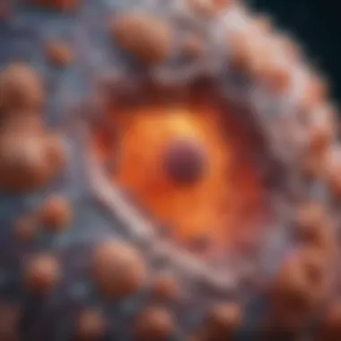 Microscopic Features of Squamous Cell Carcinoma Microscopic view of squamous cell carcinoma