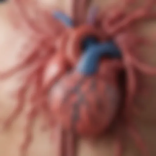 Illustration depicting the physiological mechanisms involved in acute heart failure