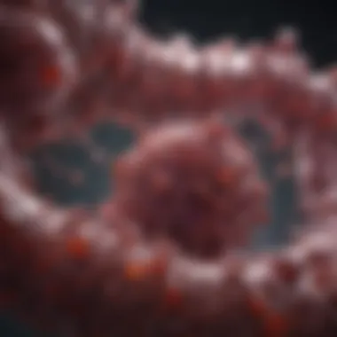 Diagnostic Methodologies Graph showcasing diagnostic methodologies for colorectal cancer