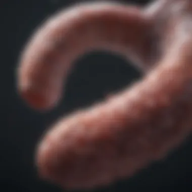 Emerging Therapies Visual representation of emerging therapies in colorectal cancer