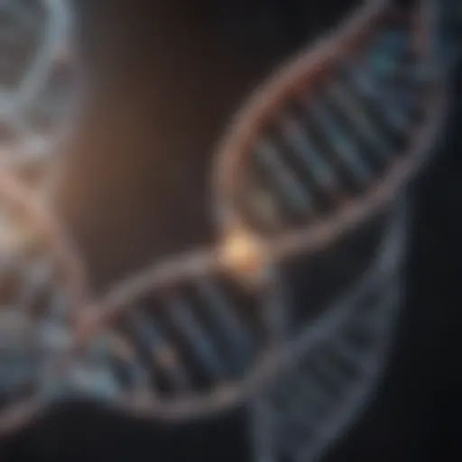 A detailed representation of DNA strands highlighting their structure.