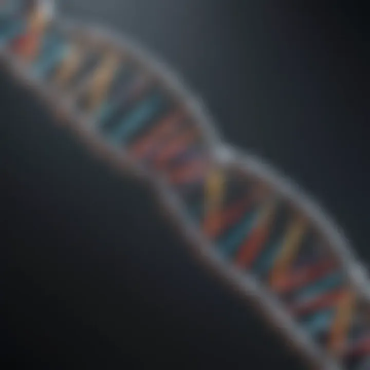 Diagram illustrating DNA structure and its components