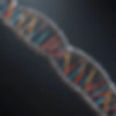 DNA Structure and Components Diagram illustrating DNA structure and its components