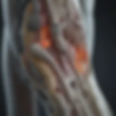 Diagram illustrating the advantages of CT scans in orthopedics.