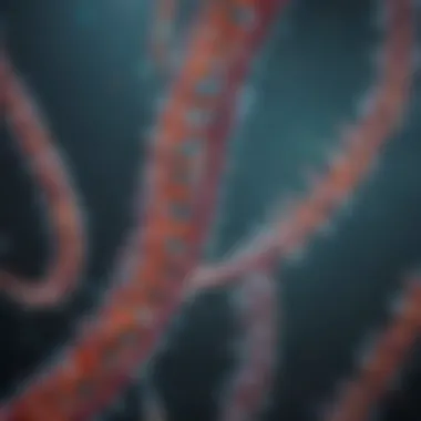 Interpreting Data from Bacterial RNA Sequencing Data Interpretation in RNA Sequencing