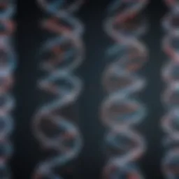 Illustration of DNA fragment separation in gel electrophoresis