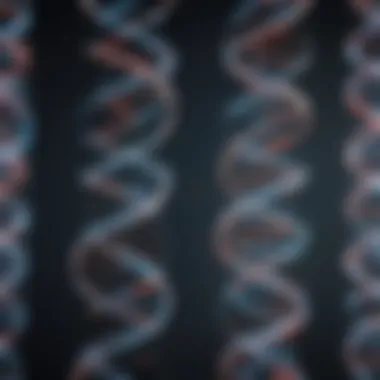 Separation of DNA Fragments Using Gel Electrophoresis Illustration of DNA fragment separation in gel electrophoresis