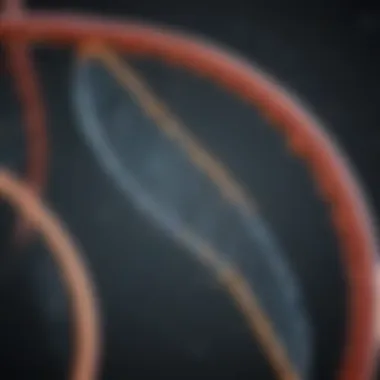Innovations Enhancing DNA Fragment Analysis Accuracy Innovative technologies enhancing DNA fragment analysis accuracy