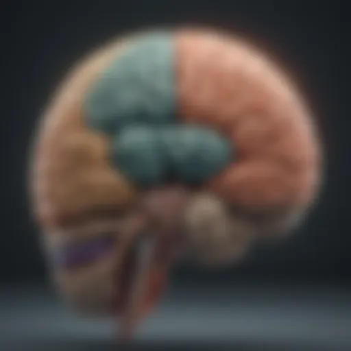 Illustration of brain regions affected by dementia and depression