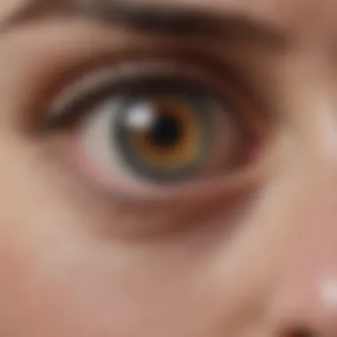 Genetic Influences on Eye Color Genetic chart illustrating eye color inheritance