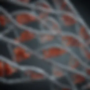 Diverse Types of DNA Testing A visual representation of different DNA testing types