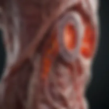 Impact of Sepsis on Organ Systems Visual representation of sepsis impact on organ systems