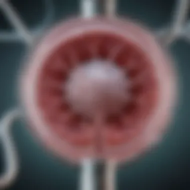 Advancements in Intraperitoneal Chemotherapy Research Emerging research on intraperitoneal chemotherapy advancements