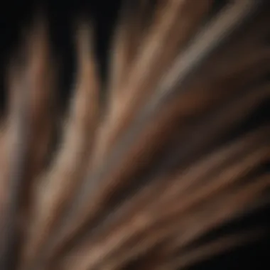 A close-up view of emu feathers under a microscope, showcasing unique genetic markers.