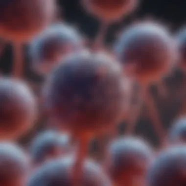 Eosinophils Under the Microscope Microscopic view of eosinophils