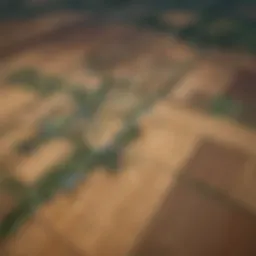 High-resolution satellite view of agricultural fields captured by PlanetScope