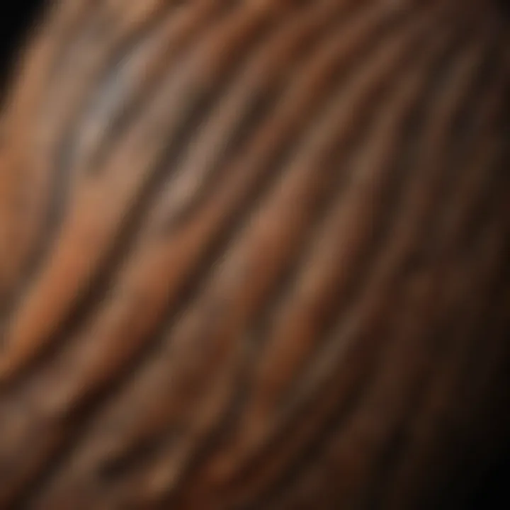 A close-up of a pheasant's intricate feather patterns, highlighting their biological diversity