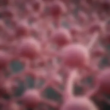 Lesser-Known Genes Associated with Breast Cancer Diagram of lesser-known breast cancer-related genes