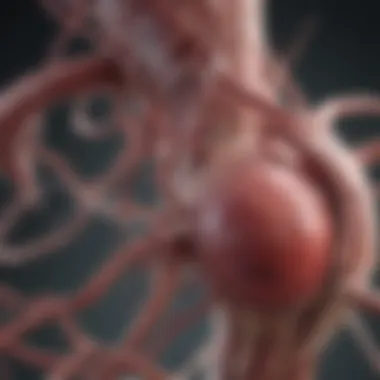 Underlying Mechanisms of Thromboembolism Diagram of underlying mechanisms of thromboembolism
