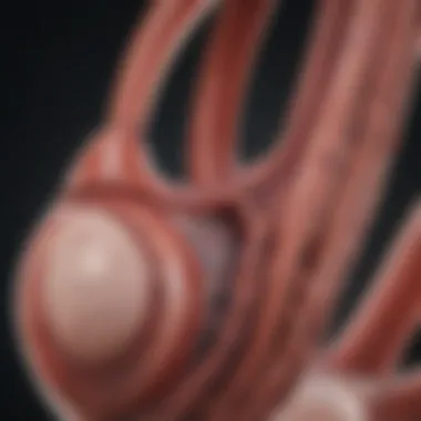 Thromboembolic Risk Assessment in Clinical Practice Illustration of thromboembolic risk assessment