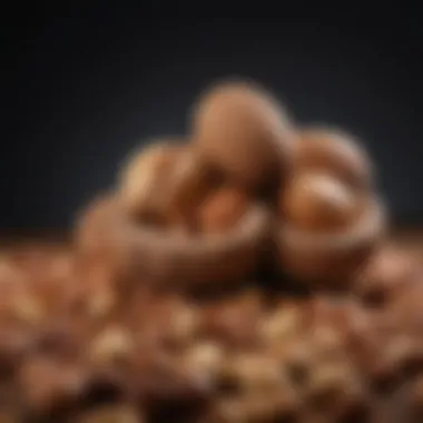 Nuts Rich in Oleic Acid A vibrant display of nuts known for their high oleic acid content, highlighting their natural appeal.