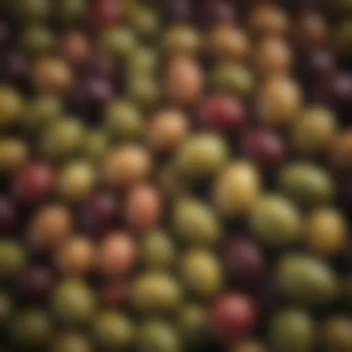 A rich assortment of olive varieties showcasing their diverse textures and colors.