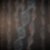 DNA strands representing genetic connections